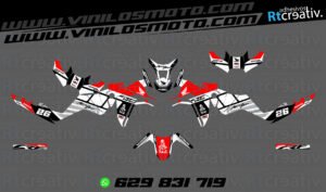 ADHESIVOS Y PEGATINAS DE VINILO HONDA ÁFRICA TWIN Rt009-03