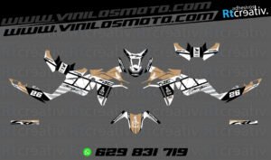 ADHESIVOS Y PEGATINAS DE VINILO HONDA ÁFRICA TWIN Rt009-04