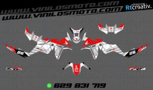 ADHESIVOS Y PEGATINAS DE VINILO HONDA ÁFRICA TWIN Rt009-05