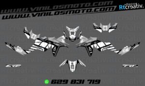 ADHESIVOS Y PEGATINAS DE VINILO HONDA ÁFRICA TWIN Rt009-07