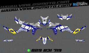 ADHESIVOS Y PEGATINAS DE VINILO HONDA ÁFRICA TWIN Rt009-10