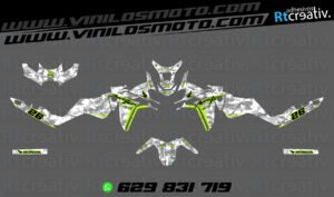ADHESIVOS Y PEGATINAS DE VINILO HONDA ÁFRICA TWIN Rt010-06