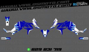 ADHESIVOS Y PEGATINAS DE VINILO SUZUKI V-STROM Rt001-01