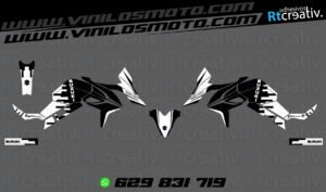 ADHESIVOS Y PEGATINAS DE VINILO SUZUKI V-STROM Rt001-03