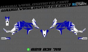 ADHESIVOS Y PEGATINAS DE VINILO SUZUKI V-STROM Rt001-04