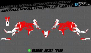 ADHESIVOS Y PEGATINAS DE VINILO SUZUKI V-STROM Rt001-05
