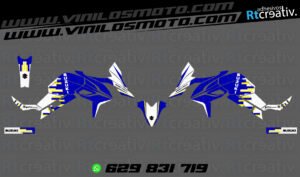 ADHESIVOS Y PEGATINAS DE VINILO SUZUKI V-STROM Rt001-06