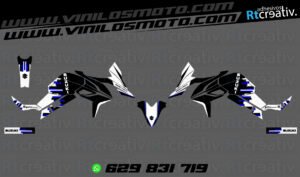 ADHESIVOS Y PEGATINAS DE VINILO SUZUKI V-STROM Rt001-07