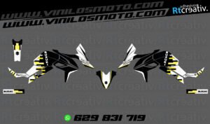ADHESIVOS Y PEGATINAS DE VINILO SUZUKI V-STROM Rt001-08