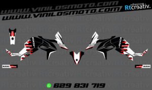 ADHESIVOS Y PEGATINAS DE VINILO SUZUKI V-STROM Rt001-09