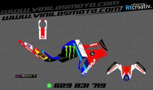 ADHESIVOS Y PEGATINAS DE VINILO HONDA TRANSALP 750 Rt008-01