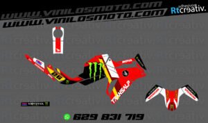 ADHESIVOS Y PEGATINAS DE VINILO HONDA TRANSALP 750 Rt008-05