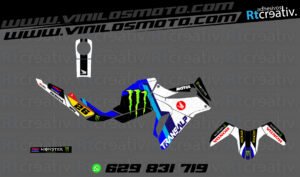 ADHESIVOS Y PEGATINAS DE VINILO HONDA TRANSALP 750 Rt008-08