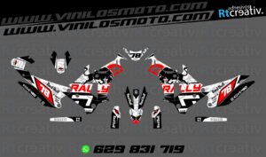 175€ - Kove 450 Rally | Diseño Rt001 10 ADHESIVOS Y PEGATINAS DE VINILO KOVE 450 RALLY Rt001-05