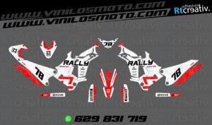 ADHESIVOS Y PEGATINAS DE VINILO KOVE 450 RALLY Rt002-01