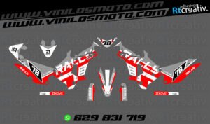 ADHESIVOS Y PEGATINAS DE VINILO KOVE 450 RALLY Rt003-05