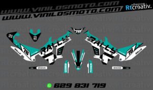 ADHESIVOS Y PEGATINAS DE VINILO KOVE 450 RALLY Rt003-13