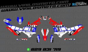 ADHESIVOS Y PEGATINAS DE VINILO KOVE 450 RALLY Rt004-02