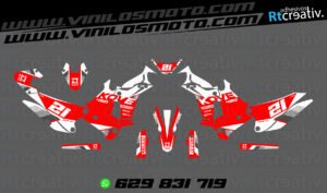 ADHESIVOS Y PEGATINAS DE VINILO KOVE 450 RALLY Rt005-16