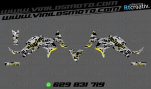 ADHESIVOS Y PEGATINAS DE VINILO SUZUKI V-STROM Rt002-09