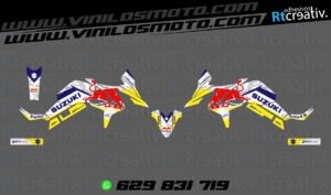175€ - Suzuki V-Strom | Diseño Rt003 10 ADHESIVOS Y PEGATINAS DE VINILO SUZUKI V-STROM Rt003-05