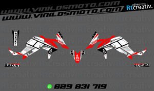 175€ - Suzuki V-Strom | Diseño Rt004 6 ADHESIVOS Y PEGATINAS DE VINILO SUZUKI V-STROM Rt004-03