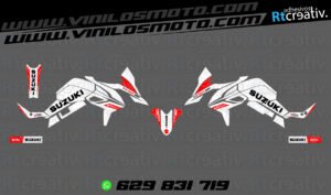 ADHESIVOS Y PEGATINAS DE VINILO SUZUKI V-STROM Rt005-05