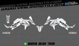 ADHESIVOS Y PEGATINAS DE VINILO SUZUKI V-STROM Rt005-08