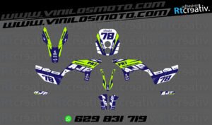 ADHESIVOS Y PEGATINAS DE VINILO AJP PR7 ADVENTURE Rt002-10