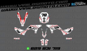 ADHESIVOS Y PEGATINAS DE VINILO AJP PR7 ADVENTURE Rt003-04