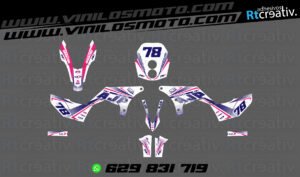 ADHESIVOS Y PEGATINAS DE VINILO AJP PR7 ADVENTURE Rt003-14