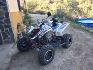IMG 1079