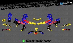 175€ - Voge 900 DSX | Diseño Rt002 2 ADHESIVOS Y PEGATINAS DE VINILO VOGE 900 DSX Rt002-01