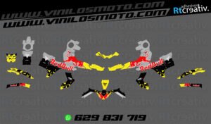 175€ - Voge 900 DSX | Diseño Rt002 6 ADHESIVOS Y PEGATINAS DE VINILO VOGE 900 DSX Rt002-03