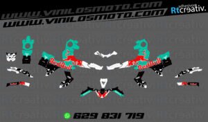 175€ - Voge 900 DSX | Diseño Rt002 8 ADHESIVOS Y PEGATINAS DE VINILO VOGE 900 DSX Rt002-04