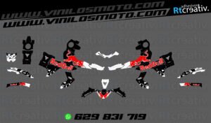 175€ - Voge 900 DSX | Diseño Rt002 10 ADHESIVOS Y PEGATINAS DE VINILO VOGE 900 DSX Rt002-05