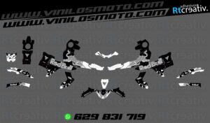 175€ - Voge 900 DSX | Diseño Rt002 12 ADHESIVOS Y PEGATINAS DE VINILO VOGE 900 DSX Rt002-06