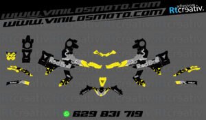 175€ - Voge 900 DSX | Diseño Rt002 14 ADHESIVOS Y PEGATINAS DE VINILO VOGE 900 DSX Rt002-07