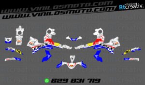 ADHESIVOS Y PEGATINAS DE VINILO VOGE 900 DSX Rt003-01