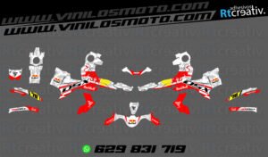 ADHESIVOS Y PEGATINAS DE VINILO VOGE 900 DSX Rt003-02