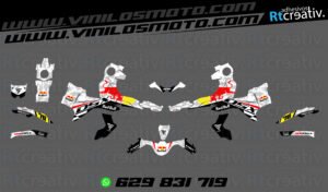 ADHESIVOS Y PEGATINAS DE VINILO VOGE 900 DSX Rt003-03