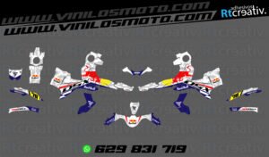 ADHESIVOS Y PEGATINAS DE VINILO VOGE 900 DSX Rt003-04