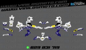 ADHESIVOS Y PEGATINAS DE VINILO VOGE 900 DSX Rt003-05