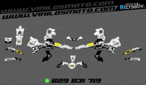 ADHESIVOS Y PEGATINAS DE VINILO VOGE 900 DSX Rt003-06