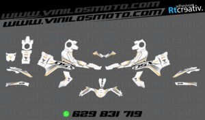 175€ - Voge 900 DSX | Diseño Rt004 2 ADHESIVOS Y PEGATINAS DE VINILO VOGE 900 DSX Rt004-01 blanco