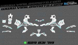 175€ - Voge 900 DSX | Diseño Rt004 10 ADHESIVOS Y PEGATINAS DE VINILO VOGE 900 DSX Rt004-05 blanco