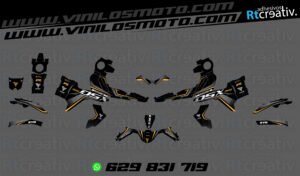 175€ - Voge 900 DSX | Diseño Rt004 14 ADHESIVOS Y PEGATINAS DE VINILO VOGE 900 DSX Rt004-01