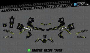 175€ - Voge 900 DSX | Diseño Rt004 16 ADHESIVOS Y PEGATINAS DE VINILO VOGE 900 DSX Rt004-02