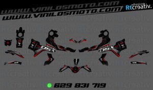 175€ - Voge 900 DSX | Diseño Rt004 20 ADHESIVOS Y PEGATINAS DE VINILO VOGE 900 DSX Rt004-04