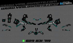 175€ - Voge 900 DSX | Diseño Rt004 22 ADHESIVOS Y PEGATINAS DE VINILO VOGE 900 DSX Rt004-05